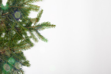 christmas tree branches on the white