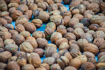 close up of drying walnuts