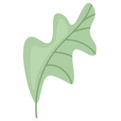 Decorative green oak leaf. Vector illustration icon in flat design. Abstract plant element for decoration composition close-up. Delicate shades, transparent background. Isolated illustration