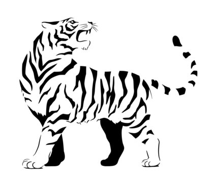 猛獣 Images Browse 5 035 Stock Photos Vectors And Video Adobe Stock