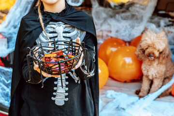 preteen caucasian boy in skeleton costume with bucket of sweets and cute poodle dog in ghost...