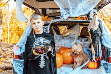 preteen caucasian boy in skeleton costume with bucket of sweets and cute poodle dog in ghost costume sits in trunk car decorated for Halloween with web, orange balloons and pumpkins, outdoor creative