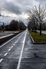 long straight alleys in an autumn park in the city center on a cloudy day 