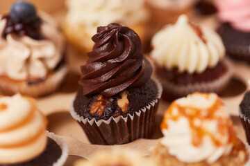 Cupcake mit Schokolade und Walnuss zwischen Cupcakes