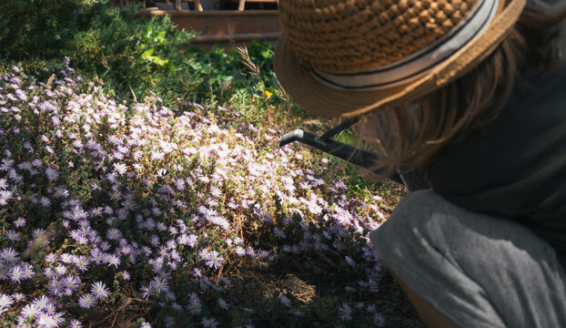 Boy Watering Flowers In The Garden