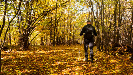 A hike through the forest on a lovely autumn day