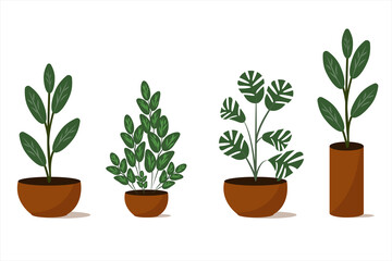 Set. Houseplants in different designed flowerpots. Flat style. Vector. Isolated on white background.