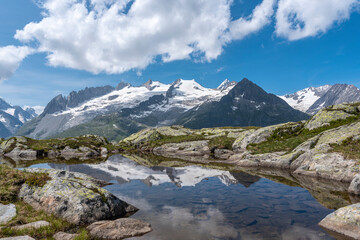 Fototapeta premium Landscape near Bettmeralp with the mountains Fusshoerner and Rotstock