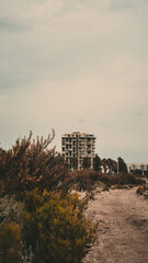 Floras y edificio abandonado 3