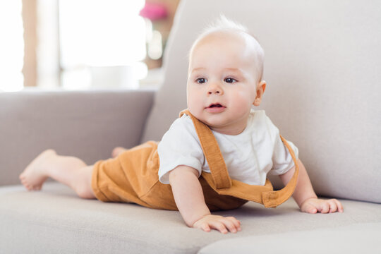 Photo of curious cute small kid baby boy lay comfortable sofa look away wear suspenders home indoors