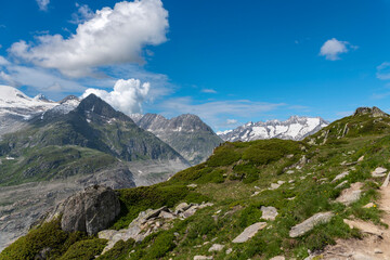 Fototapeta premium Landscape on the panoramic hiking trail at the Aletsch Glacier near Riederalp