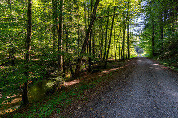 Obraz premium Schmalegger and Rinkenburger Tobel near Ravensburg in Upper Swabia