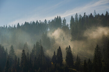 Fog. Morning fog in the highlands. Beautiful dramatic highlands landscape.