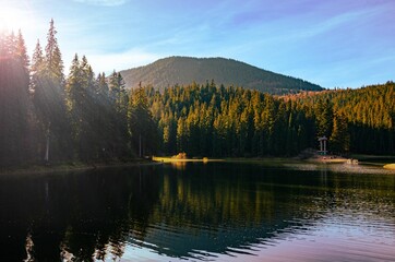 Very beautiful landscape of the lake. Green fir trees against the backdrop of a beautiful lake.
