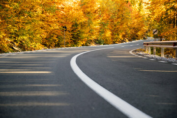 A colourful curving autumn road