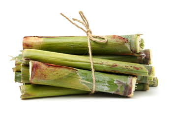 Stalks of mature sorghum on white background