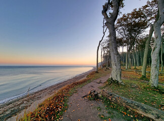Steilküste im Ostseebad Nienhagen am Gespensterwald in der Morgendämmerung