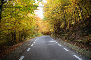 Obraz premium A colourful curving autumn road