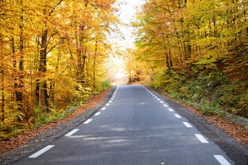 Fototapeta na wymiar A colourful curving autumn road