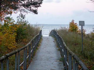 Wooden walkway on the beach