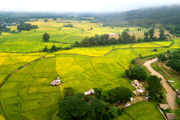 Top view Aerial photo from flying drone over paddie rice fields and rural village  in Chiang Mai province, Thailand.Top view beautiful Sunset and Mountain with Fog.