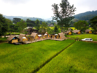 Top view Aerial photo from flying drone over paddie rice fields and rural village  in Chiang Mai province, Thailand.Top view beautiful Sunset and Mountain with Fog.