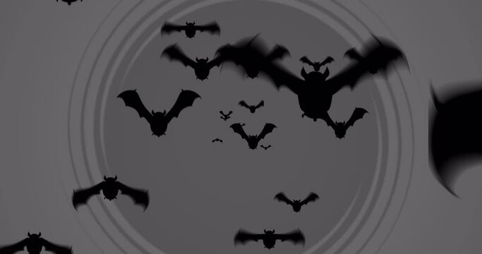 Animation of halloween bats over moving grey background