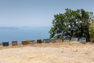 Small apiary in the mountains on a summer day (Greece, Pelio)
