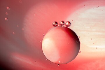 Oil bubbles in water. Macro shot.
Abstraction- balls, circle, christmas. - obrazy, fototapety, plakaty