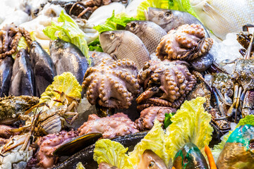Counter with fresh fish and seafood at the Fish Market