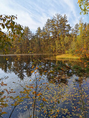 The mirror surface of a forest lake, in which trees and the sky with beautiful clouds are reflected.