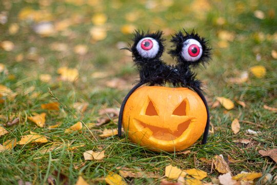 Halloween pumpkin head jack o lantern on the grass