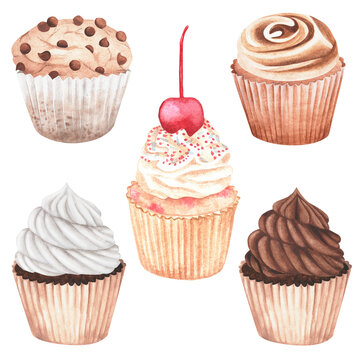 Cupcakes. Watercolor vintage illustration. Isolated on a white background. For your design.