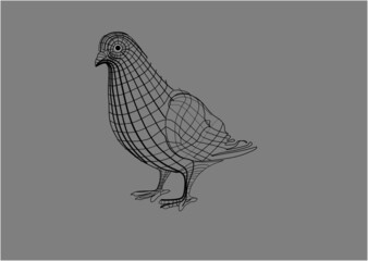 Fototapeta na wymiar line art vector illustration of a pigeon.