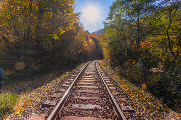 Obraz premium Railroad tracks in the fall.