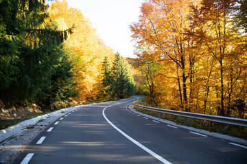 Naklejka premium A colourful curving autumn road