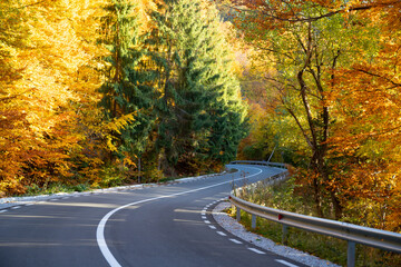 Fototapeta premium A colourful curving autumn road