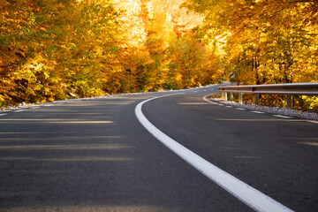 A colourful curving autumn road