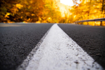 A colourful curving autumn road
