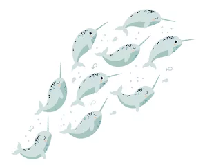 Afwasbaar Fotobehang Walvis A flock of narwhals on an isolated background. Vector illustration with Arctic whales
