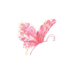 Watercolour pink butterfly isolated on white.