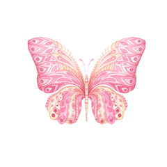 Watercolour pink butterfly isolated on white.