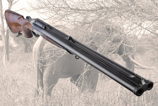 modern hunting rifle, fitting, with two barrels.