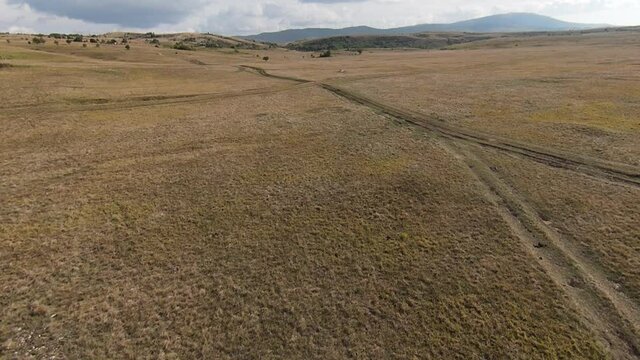 Aerial FPV Drone Flying with a large herd of wild horses galloping fast across steppe
