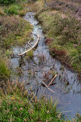 Rotes Moor in der Rhön