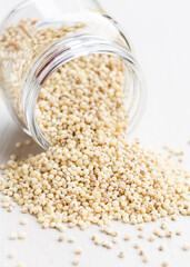 White Sorghum, a gluten free cereal
