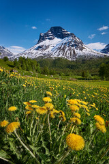 View of the Innerdalen valley, Norway
