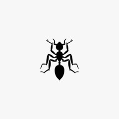 ant icon. ant vector icon on white background