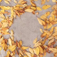 Fallen autumn leaves on concrete. Autumn concept.Flat lay.Copy paste