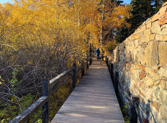 Naklejka na ściany i meble Amazing beautiful pine and brich forest in autumn time during day. Pedestrian wooden bridge in coniferous and brich forests in Borovoe, Kazakhstan